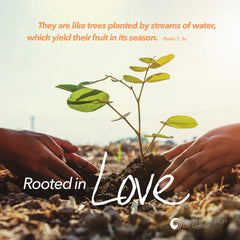 2021 Stewardship Theme Materials | "Rooted in Love"  Digital Download
