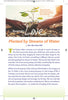 2021 Stewardship Theme Materials | "Rooted in Love"  Digital Download