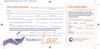 2021 Stewardship Theme Materials | "Rooted in Love"  Digital Download