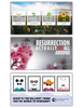Social Media Posts | Digital Downloads