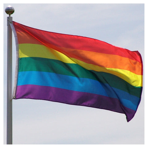 Flag - Rainbow (Polyester)